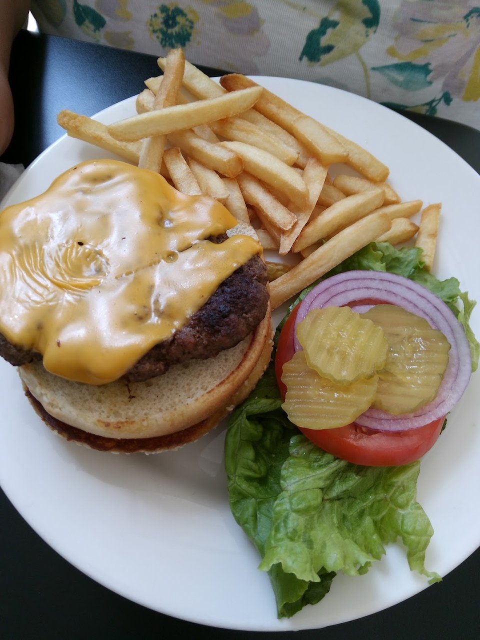 Garden Burger with Fries